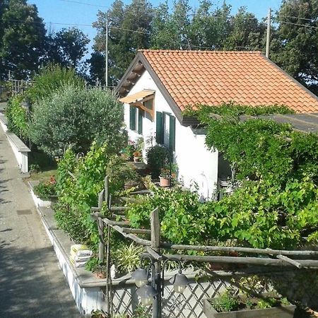 אג'רולה The Cottage מראה חיצוני תמונה