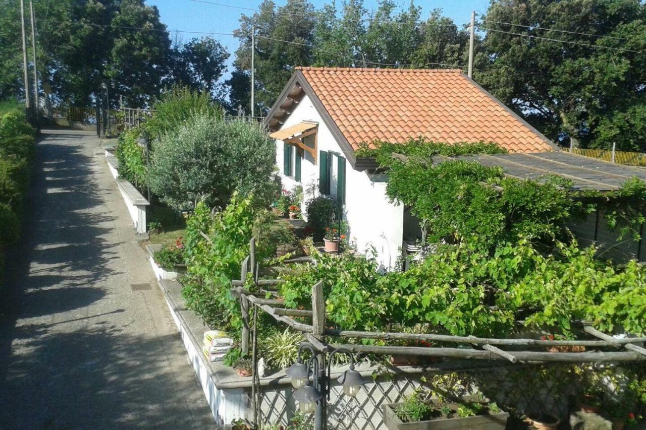 אג'רולה The Cottage מראה חיצוני תמונה