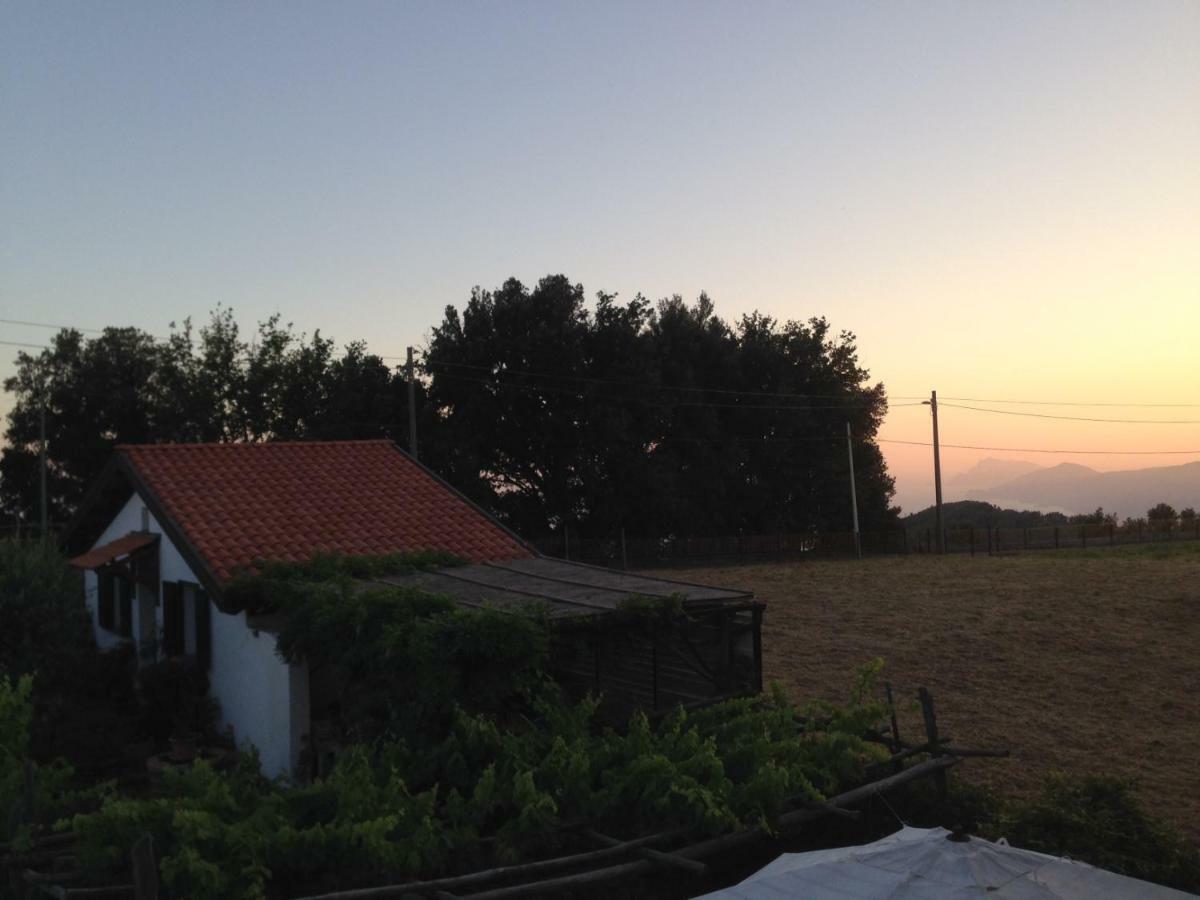 אג'רולה The Cottage מראה חיצוני תמונה